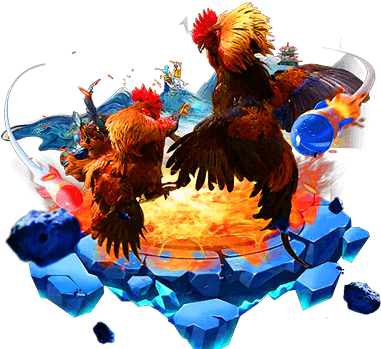 Đá gà rr88 banner